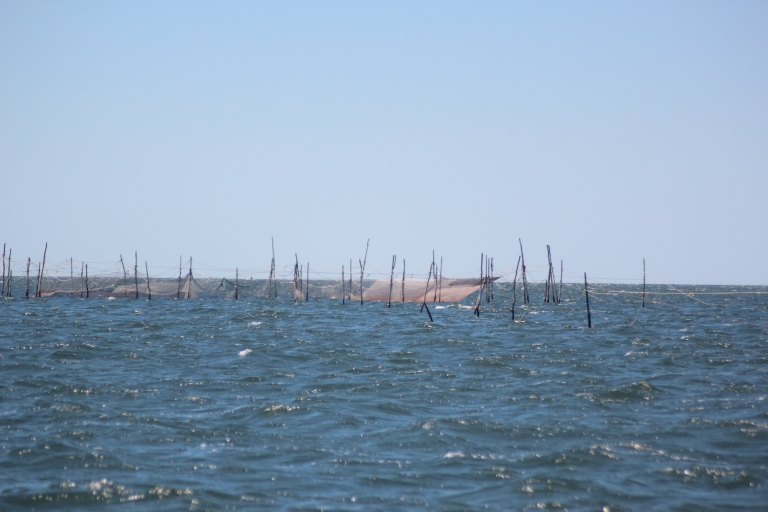 Fishing Nets on the Ocean